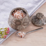 Decorative stone container with pink salt, a spoonful of salt, and a small plant on a light background.