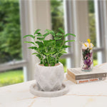 planter-pineapple-design-6-inches-2