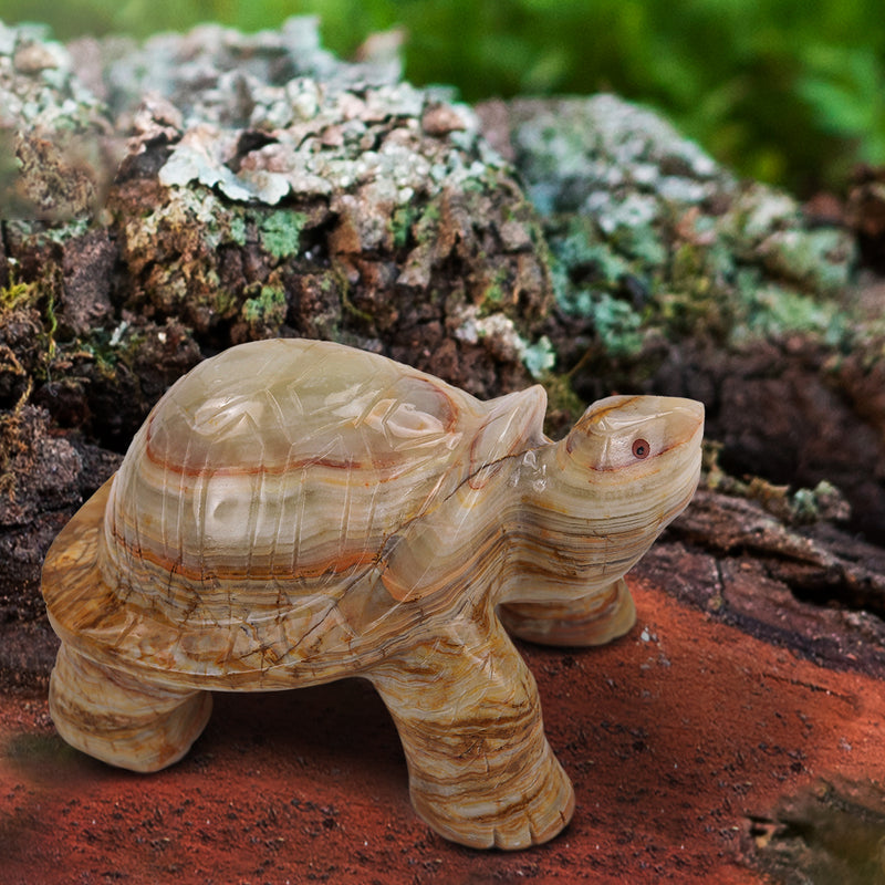 Turtle - 8 Inches