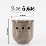 5" Marble Garlic Keeper for Kitchen Counter