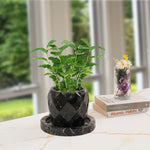 planter-pineapple-design-6-inches-2