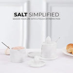 salt_cellar_salt_container_salt_and_pepper2