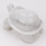 turtle-8-Inches