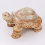 turtle-8-Inches