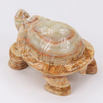 turtle-8-Inches