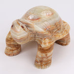 turtle-8-Inches