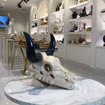 Decorative skull with black horns on a marble surface in a stylish interior setting.